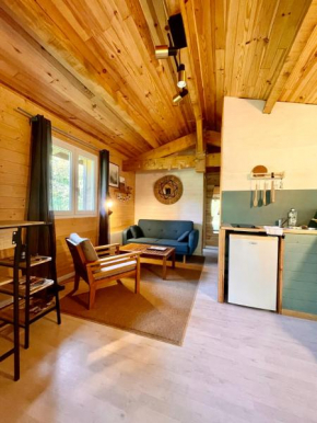 Cabane au milieu des pins - Domaine Temali